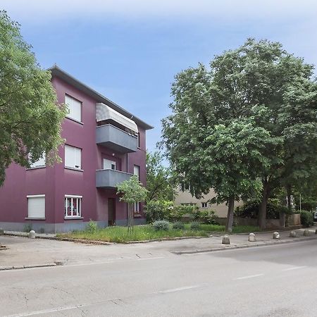 Apartment Perla زادار المظهر الخارجي الصورة